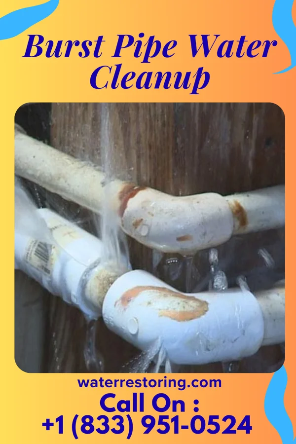 Burst Pipe Water Cleanup in Richardton, ND