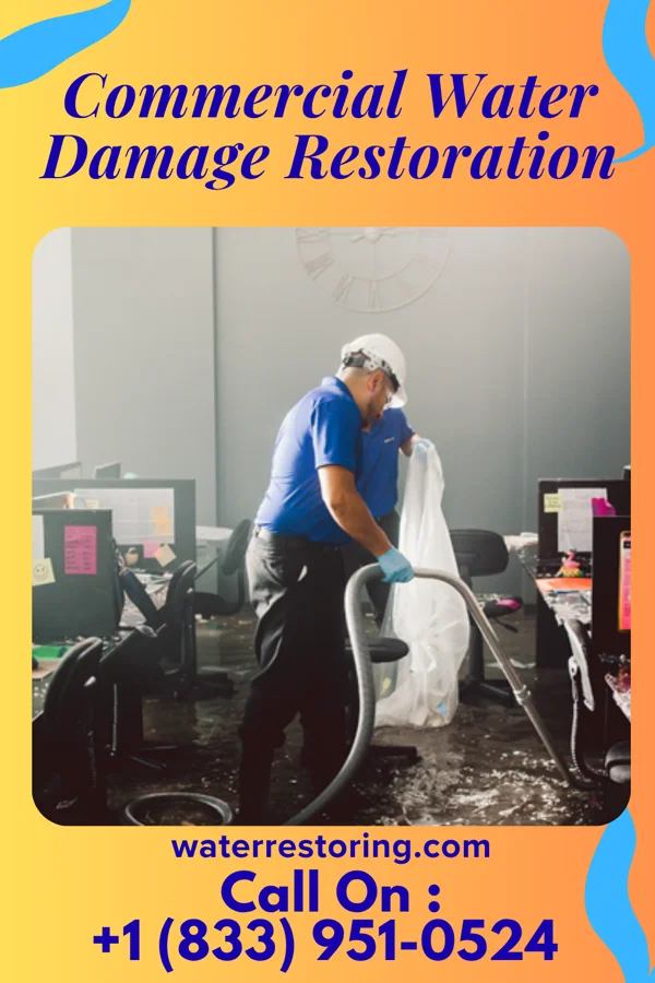 Commercial Water Damage Restoration in Richardton, ND